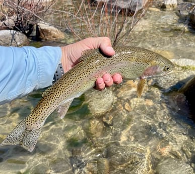 Fishing in Hume, California