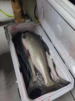 Fishing in Wyandotte, Michigan