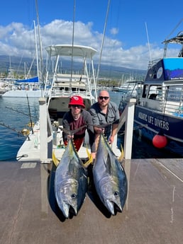 Yellowfin Tuna fishing in Kalaoa, Hawaii