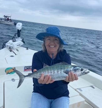 Bonito Fishing in Beaufort, North Carolina
