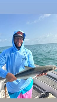 Fishing in Marco Island, Florida