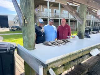 Fishing in Orange Beach, Alabama