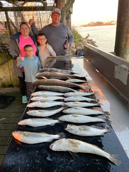 Black Drum, Redfish, Speckled Trout / Spotted Seatrout Fishing in Surfside Beach, Texas