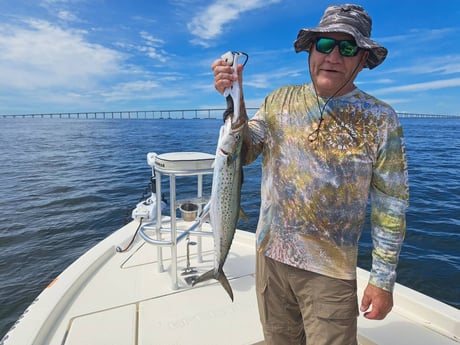 Fishing in St. Petersburg, Florida