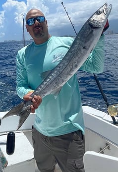 Barracuda Fishing in Pompano Beach, Florida