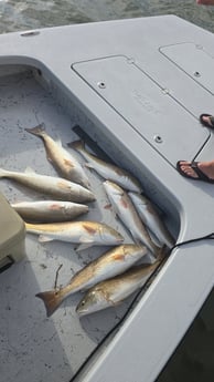 Fishing in South Padre Island, Texas