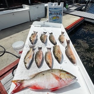 Fishing in Key West, Florida
