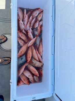 Fishing in Panama City Beach, Florida