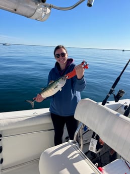 Fishing in Harwich, Massachusetts