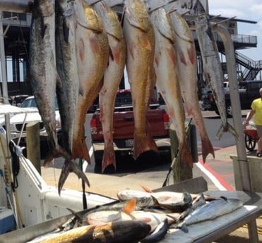 Fishing in Biloxi, Mississippi