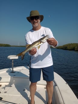 Fishing in Boca Grande, Florida