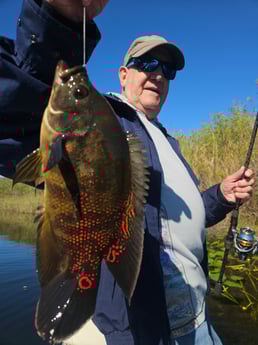 Fishing in Fort Lauderdale, Florida