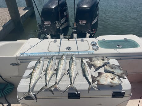 Fishing in Gulf Shores, Alabama