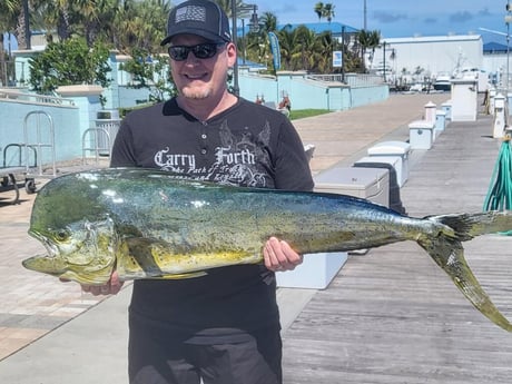 Mahi Mahi / Dorado Fishing in West Palm Beach, Florida