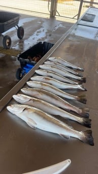 Fishing in Matagorda, Texas