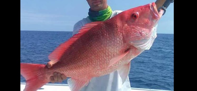 Fishing in Tierra Verde, Florida