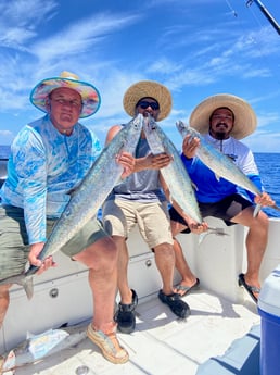 King Mackerel / Kingfish fishing in Surfside Beach, Texas