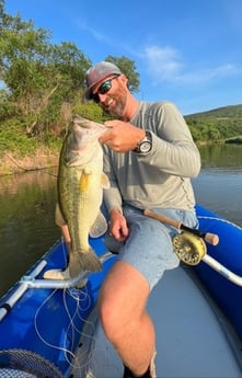 Largemouth Bass fishing in Graford, Texas