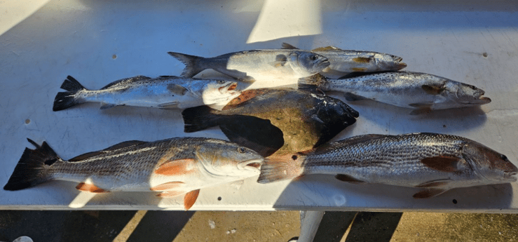 Fishing in Jacksonville, Florida