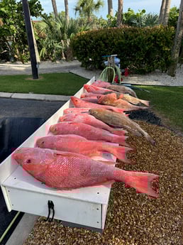Fishing in Sarasota, Florida