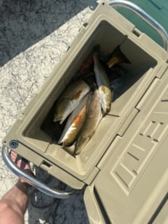 Fishing in South Padre Island, Texas