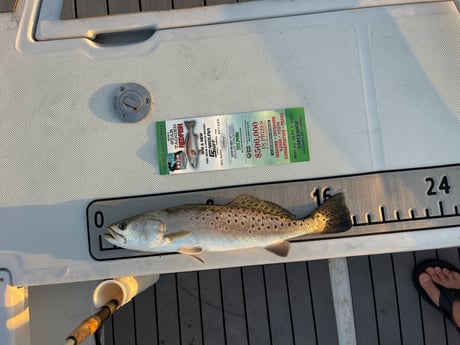 Fishing in Panama City, Florida