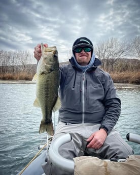 Largemouth Bass Fishing in New Braunfels, Texas