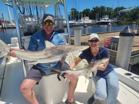 Fishing in Pensacola, Florida