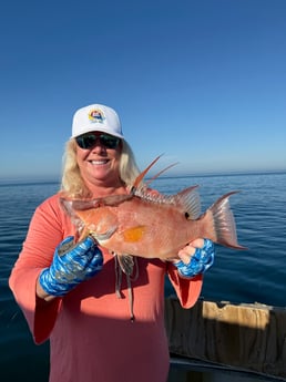Fishing in Clearwater, Florida