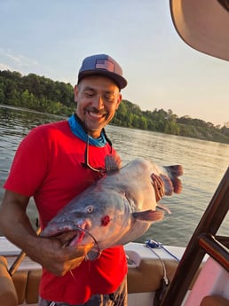Fishing in Sandston, Virginia