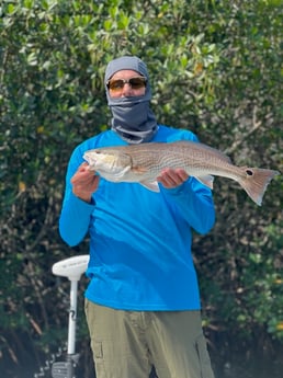Redfish Fishing in Tampa, Florida