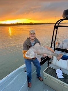 Black Drum Fishing in Boothville, Louisiana, USA