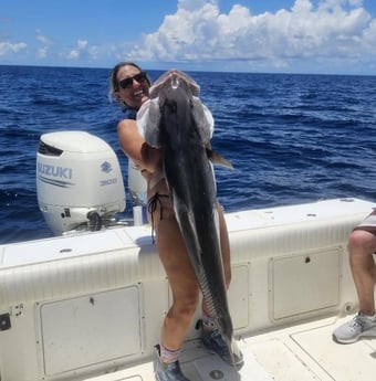 Amberjack Fishing in St. Petersburg, Florida