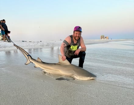 Fishing in Navarre, Florida