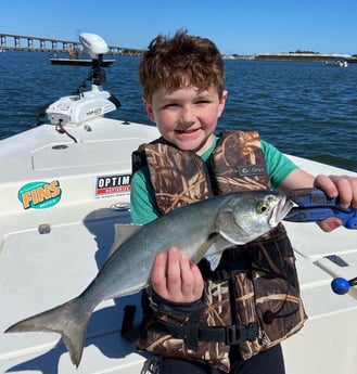 Bluefish Fishing in Beaufort, North Carolina