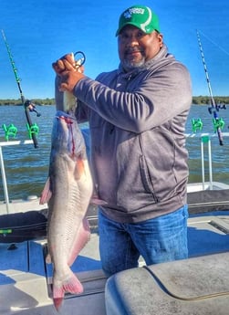 Blue Catfish fishing in Dallas, Texas