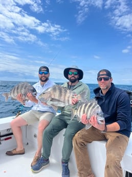 Sheepshead Fishing in Hatteras, North Carolina