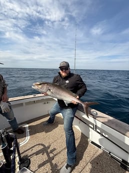 Amberjack Fishing in Orange Beach, Alabama