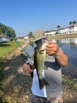 Fishing in Miami, Florida