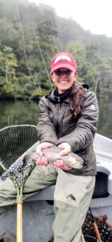 Rainbow Trout Fishing in Broken Bow, Oklahoma