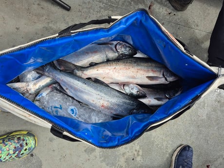 Fishing in Seattle, Washington
