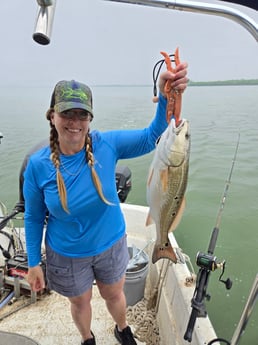 Redfish Fishing in