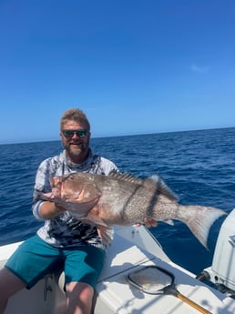 Fishing in Sarasota, Florida