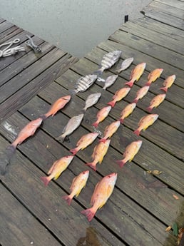 Fishing in Port Orange, Florida