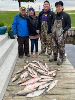 Black Drum, Redfish Fishing in Sulphur, Louisiana