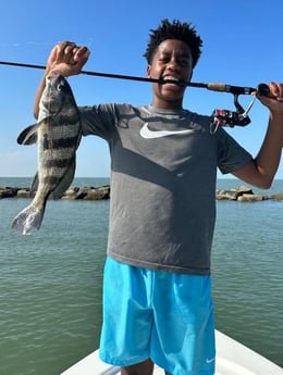 Black Drum Fishing in Galveston, Texas