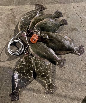 Flounder fishing in Houston, Texas