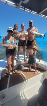 Fishing in Destin, Florida