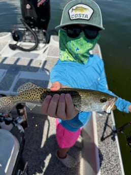 Fishing in Tampa, Florida