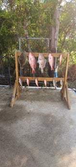 Fishing in Santa Rosa Beach, Florida